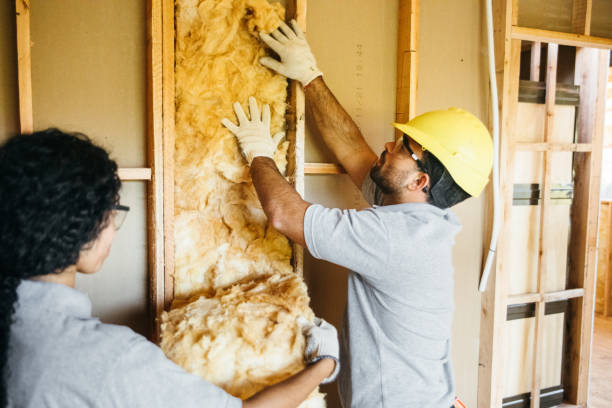 Best Spray Foam Insulation  in Richgrove, CA